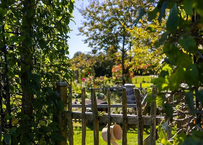 Апартаменты Trapp